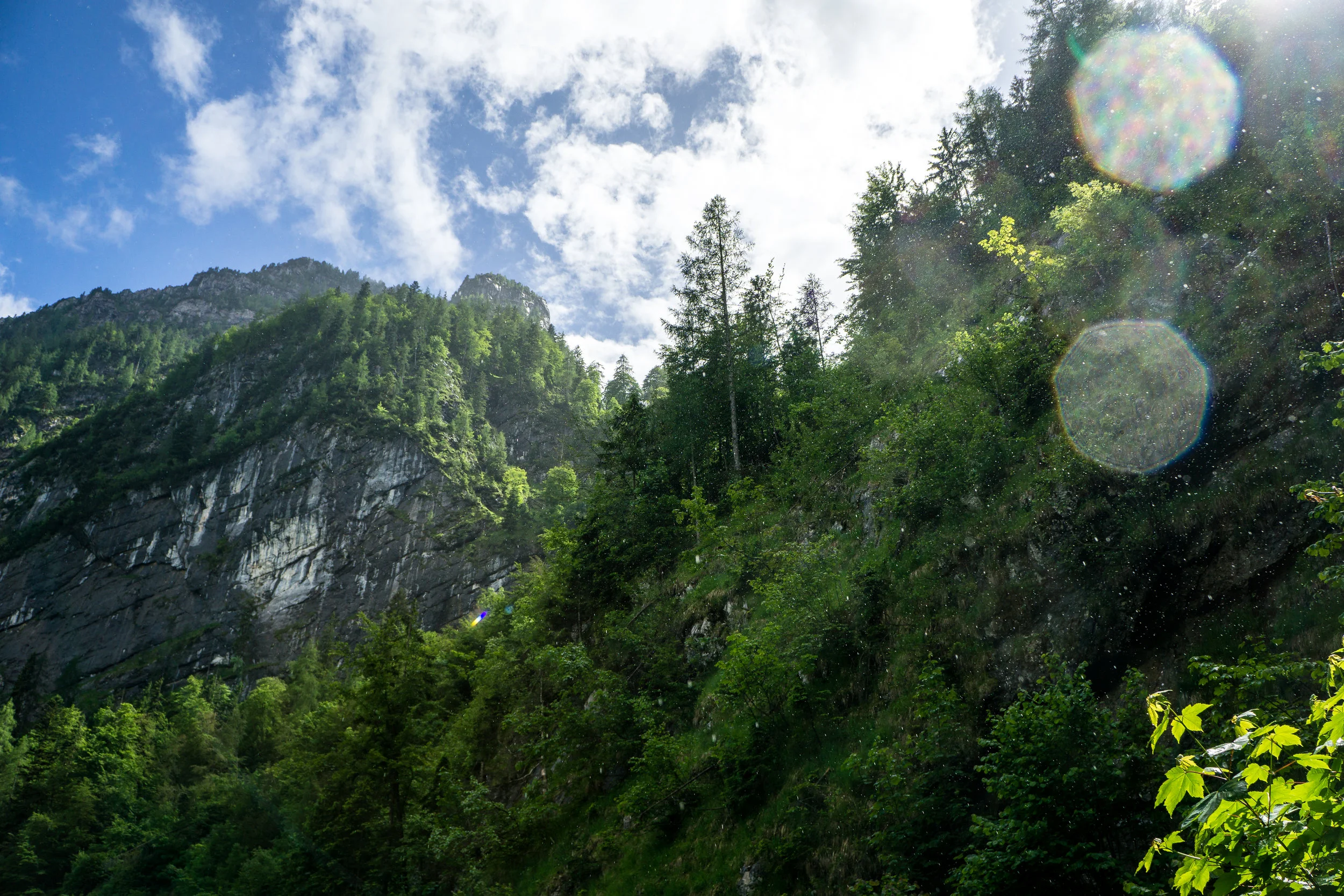 Sunshower_RE-04559.jpg