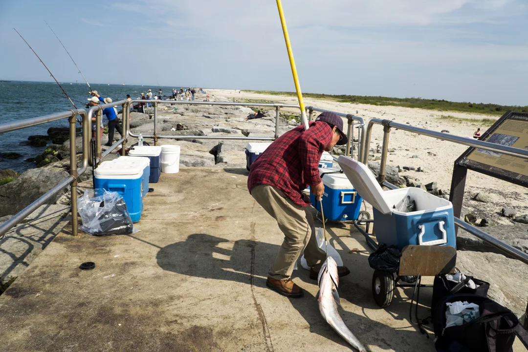 LBI_5-25-04210.jpg