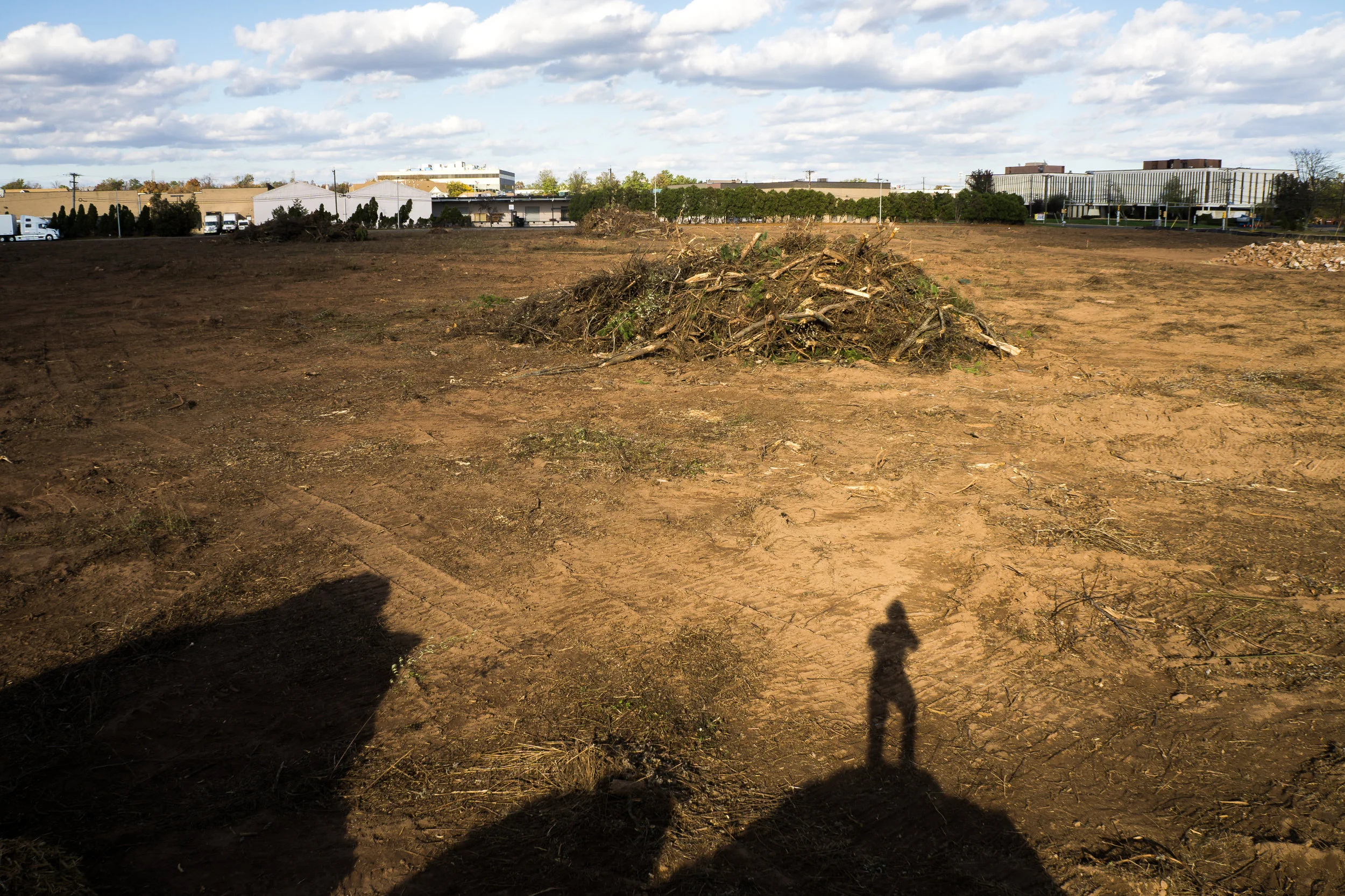 Trees_natgeo-07959.jpg