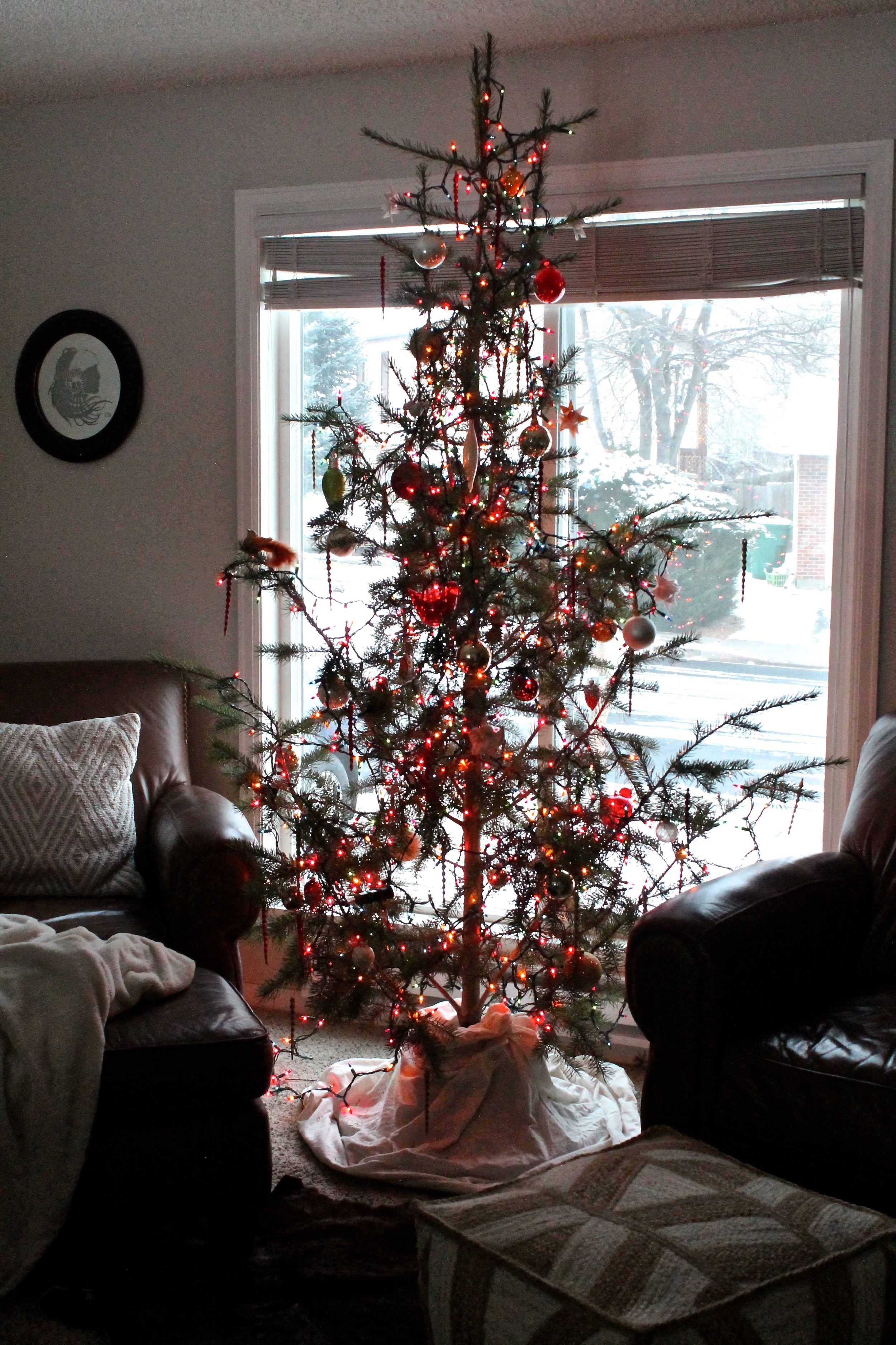 The Blog of Bre Graziano