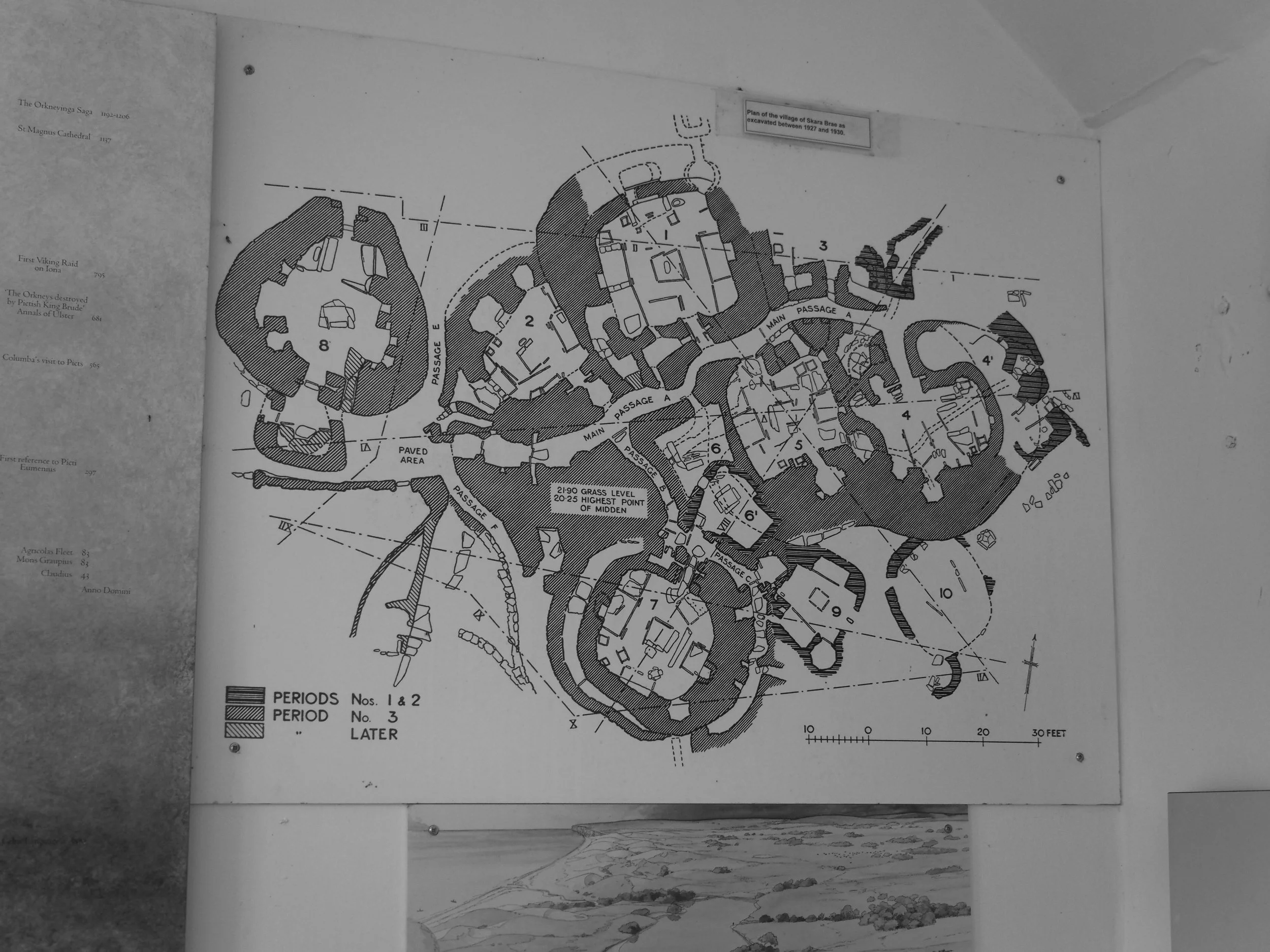 P6013740.jpg