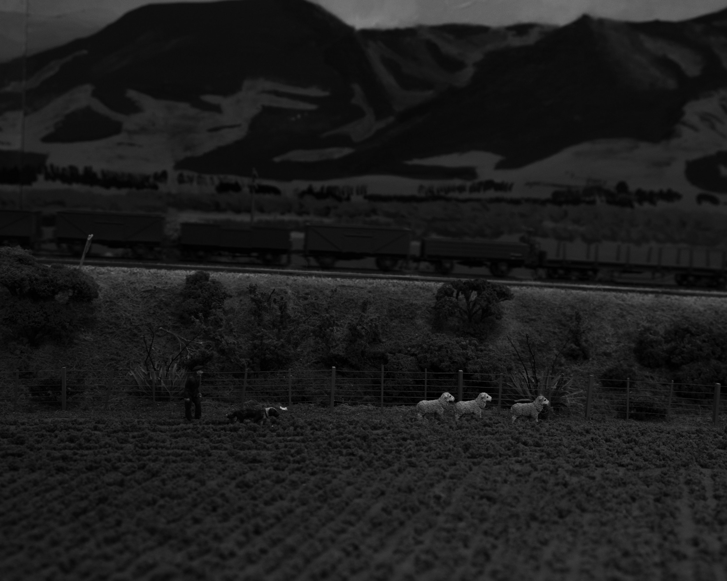 DSCF9483.jpg