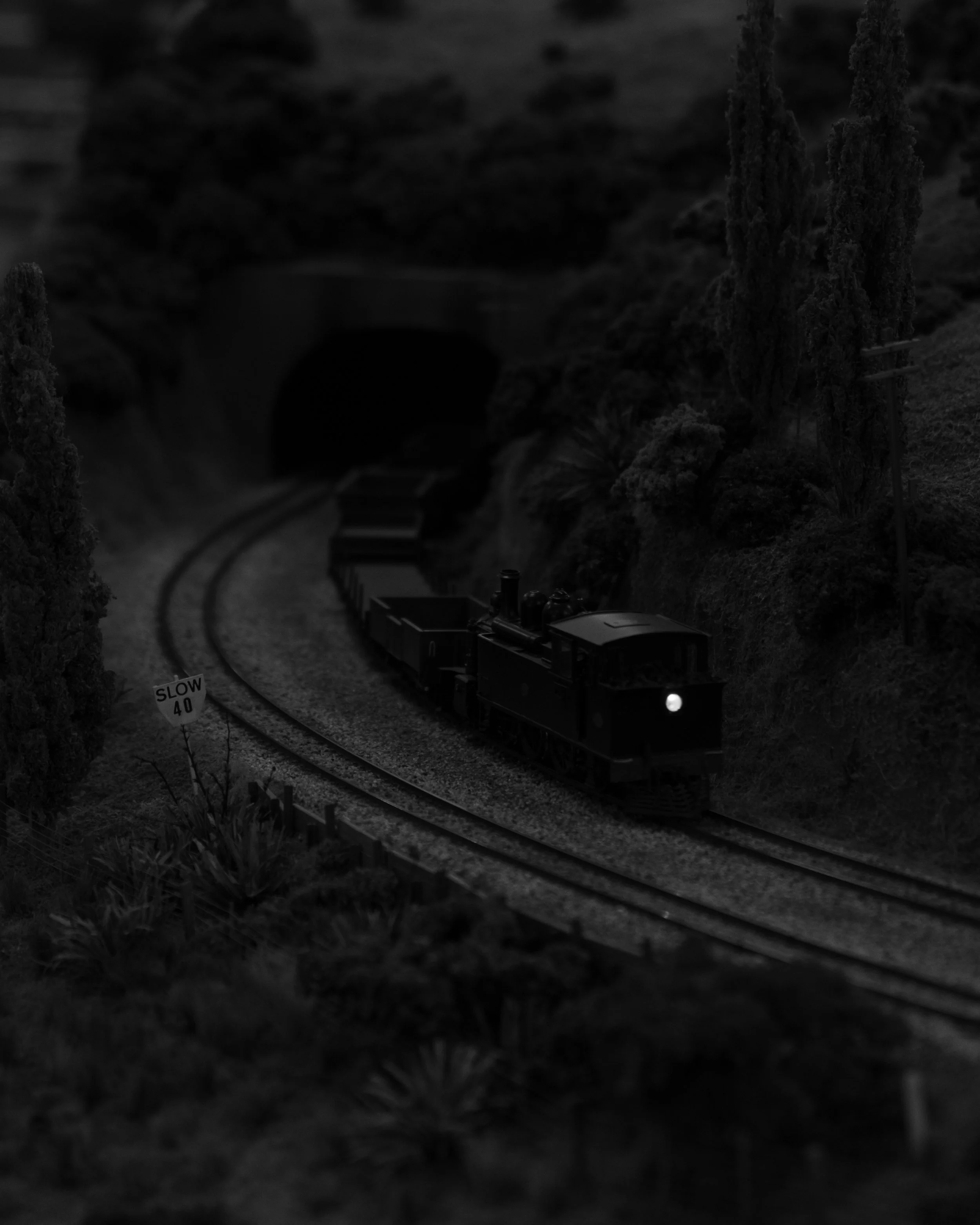DSCF9451.jpg