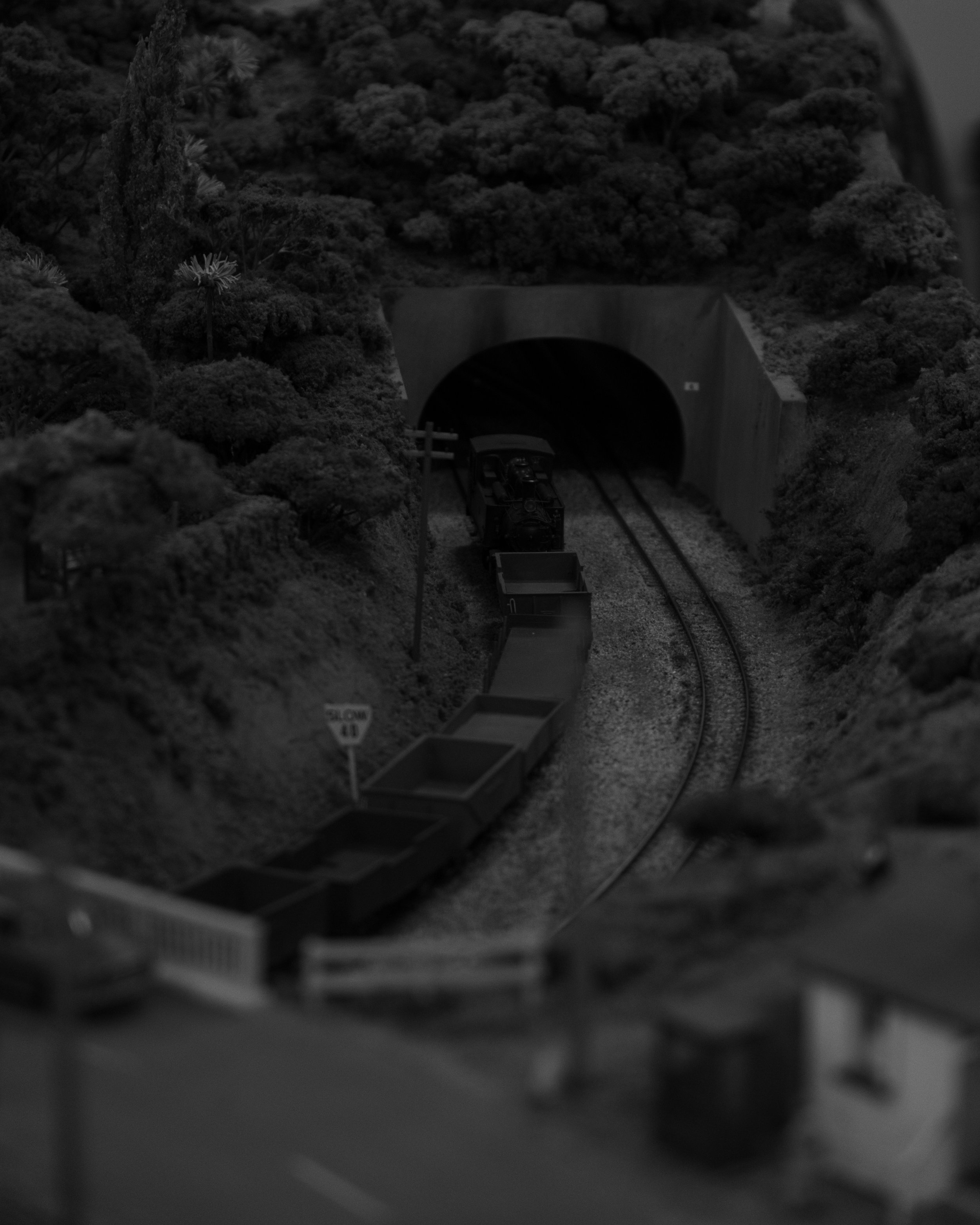 DSCF9435.jpg