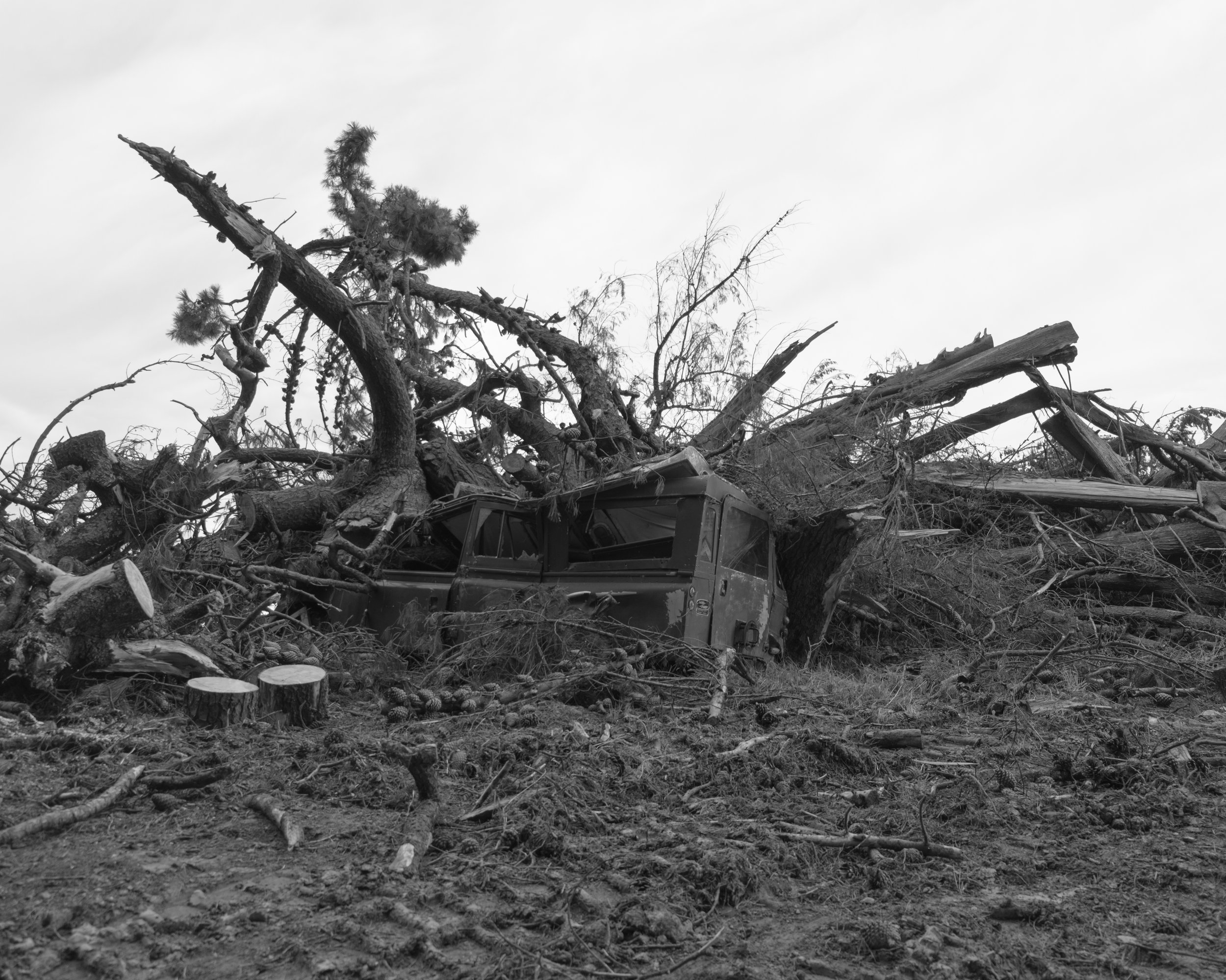 DSCF9050.jpg