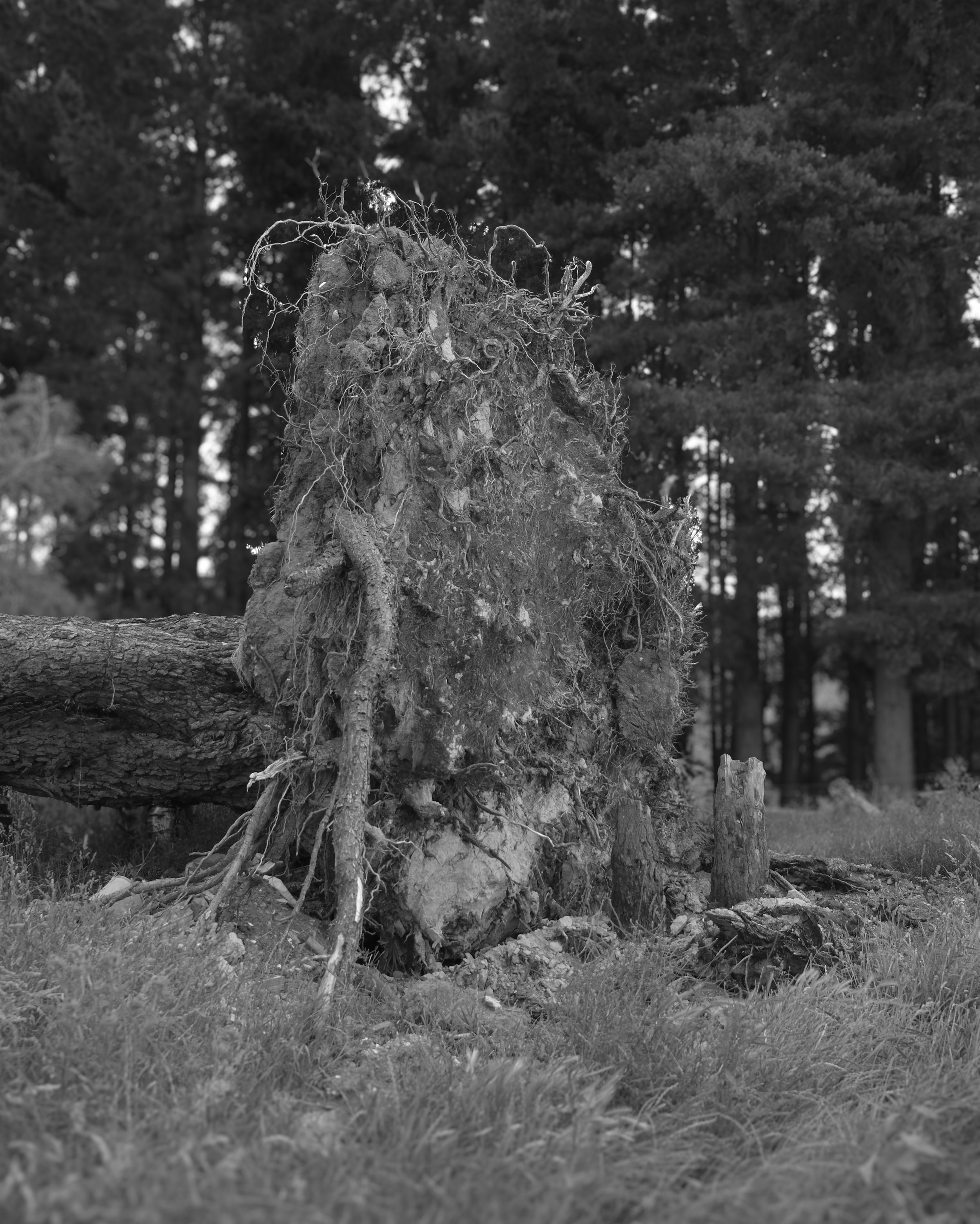 DSCF0931.jpg