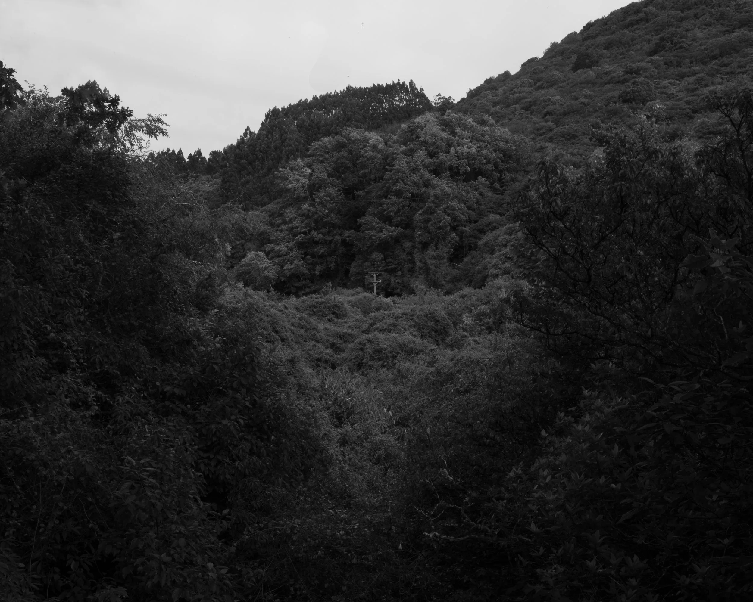 DSCF1639.jpg