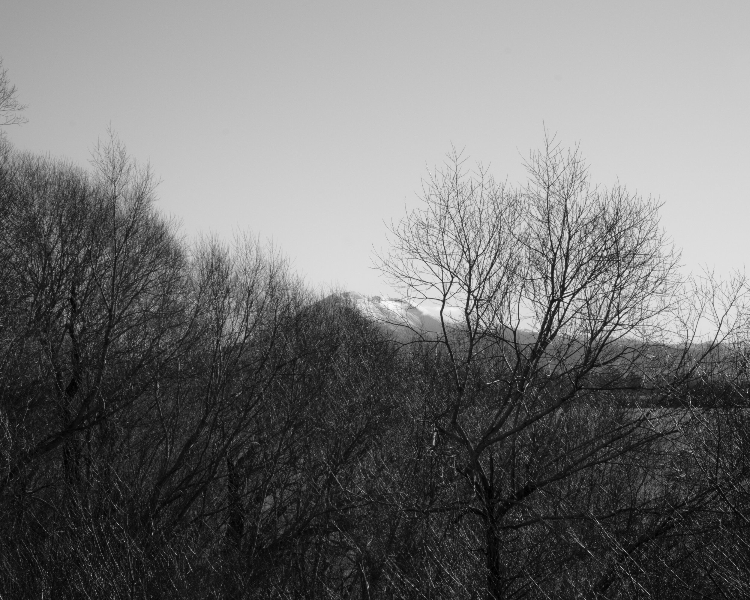 DSCF0442.jpg