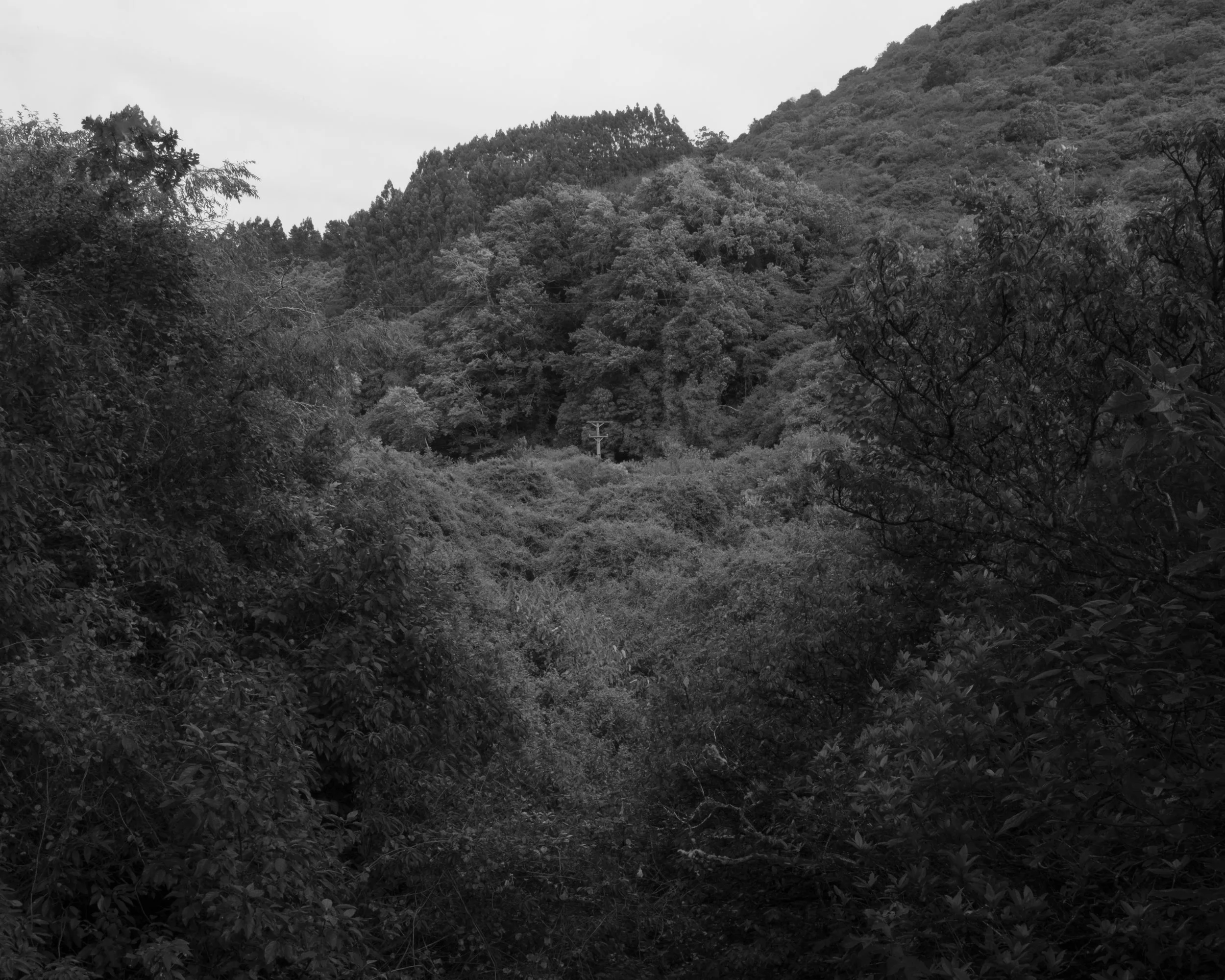 DSCF1639 3.jpg