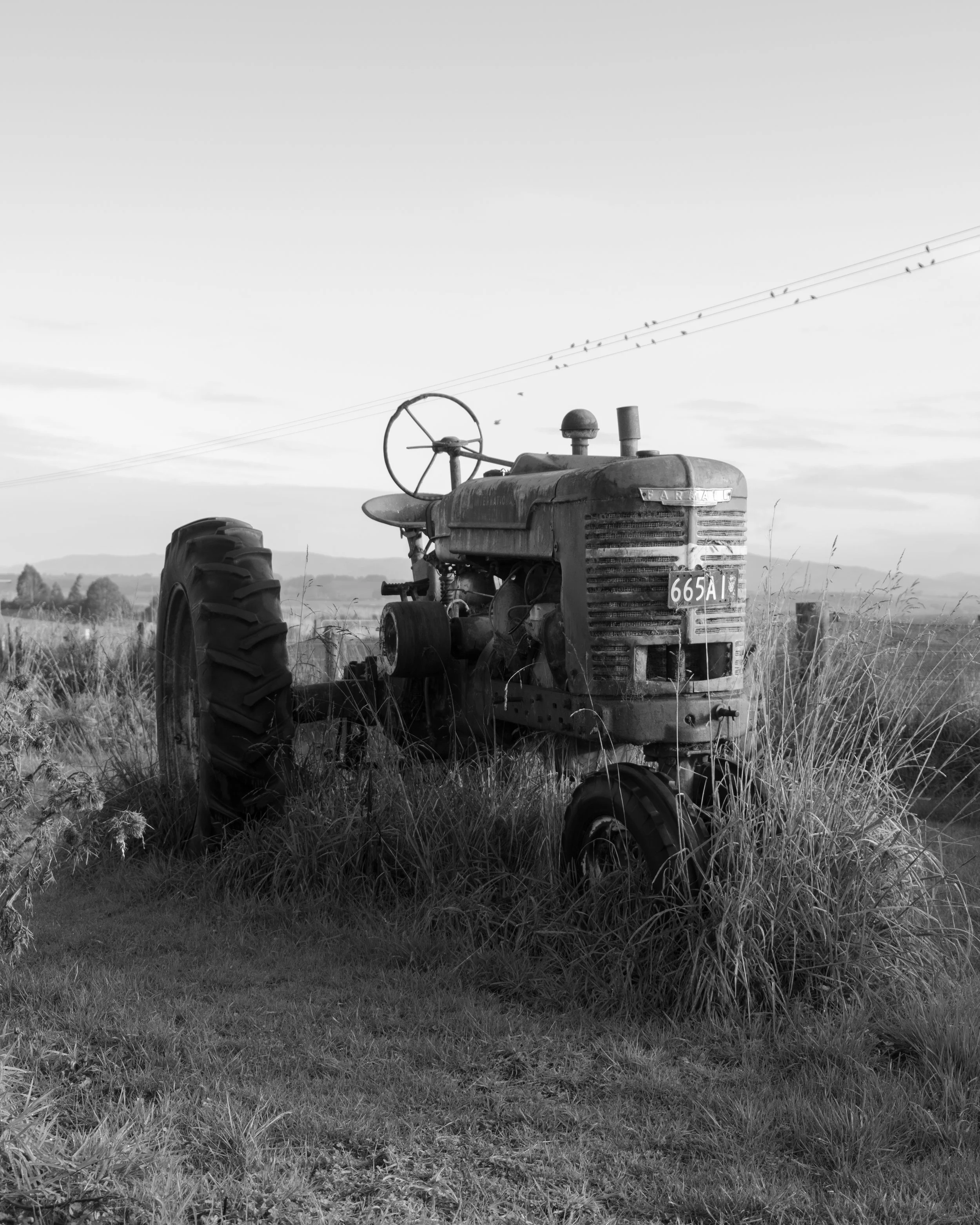 DSCF0317-3.jpg