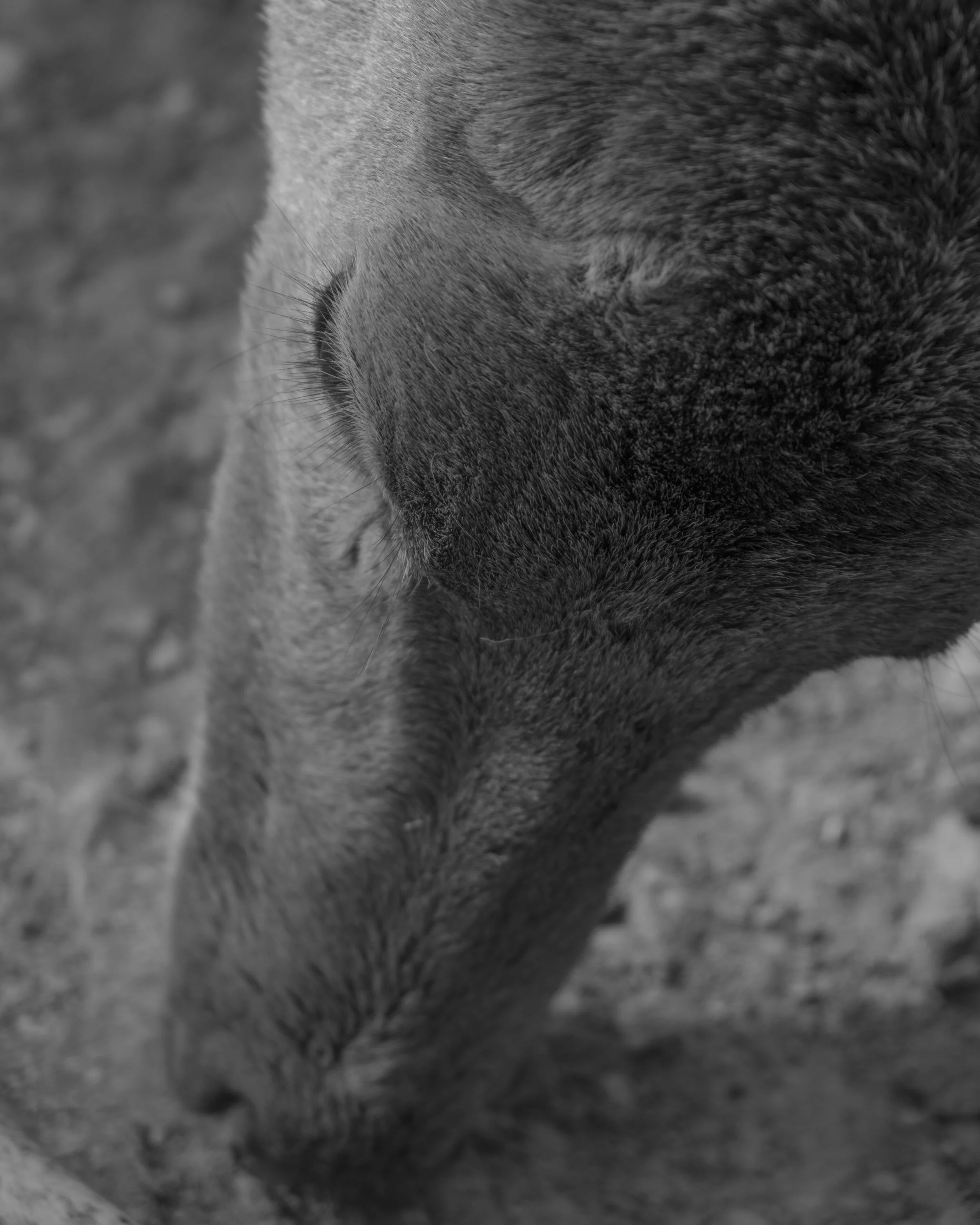 DSCF1538.jpg