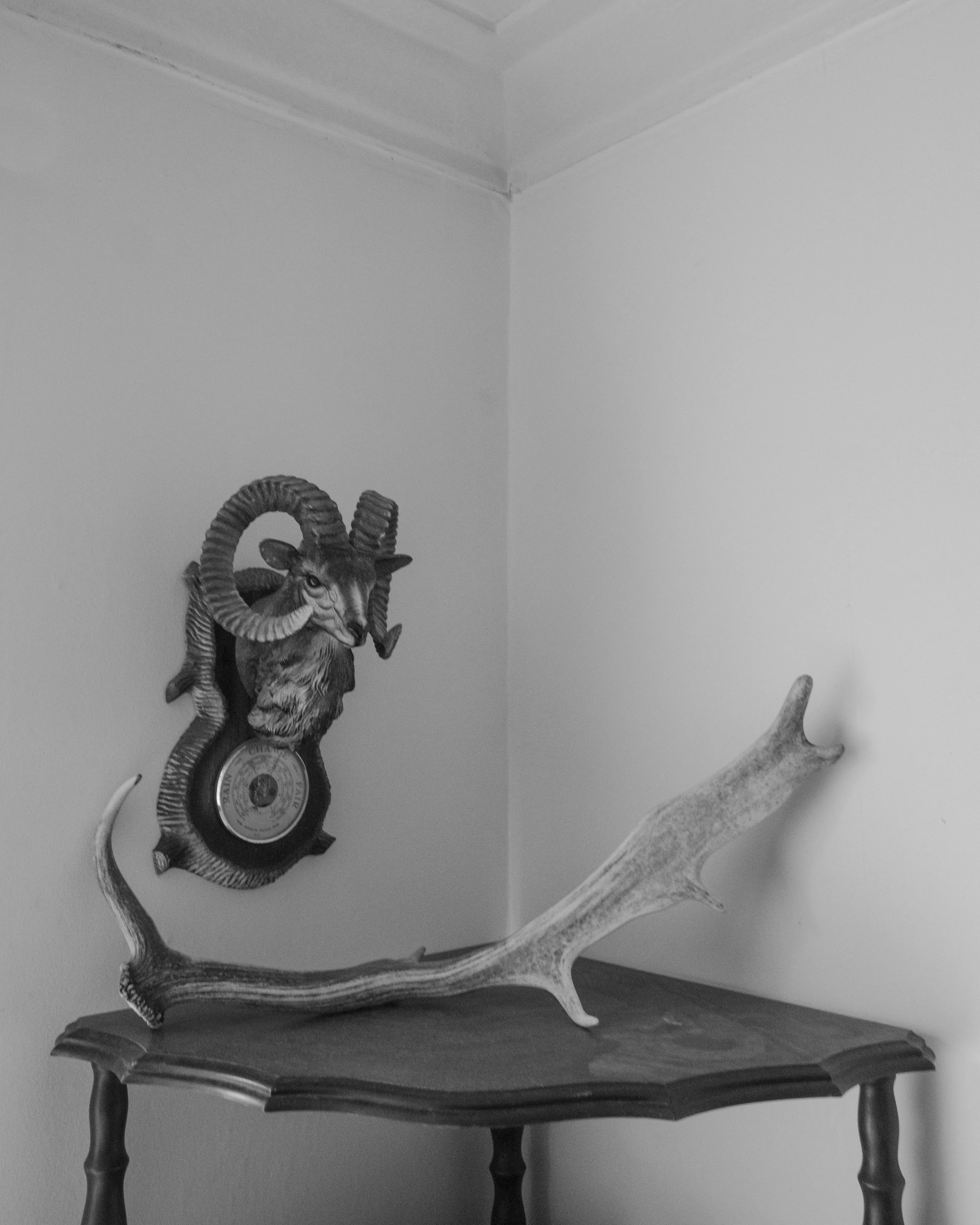 DSCF2440.jpg