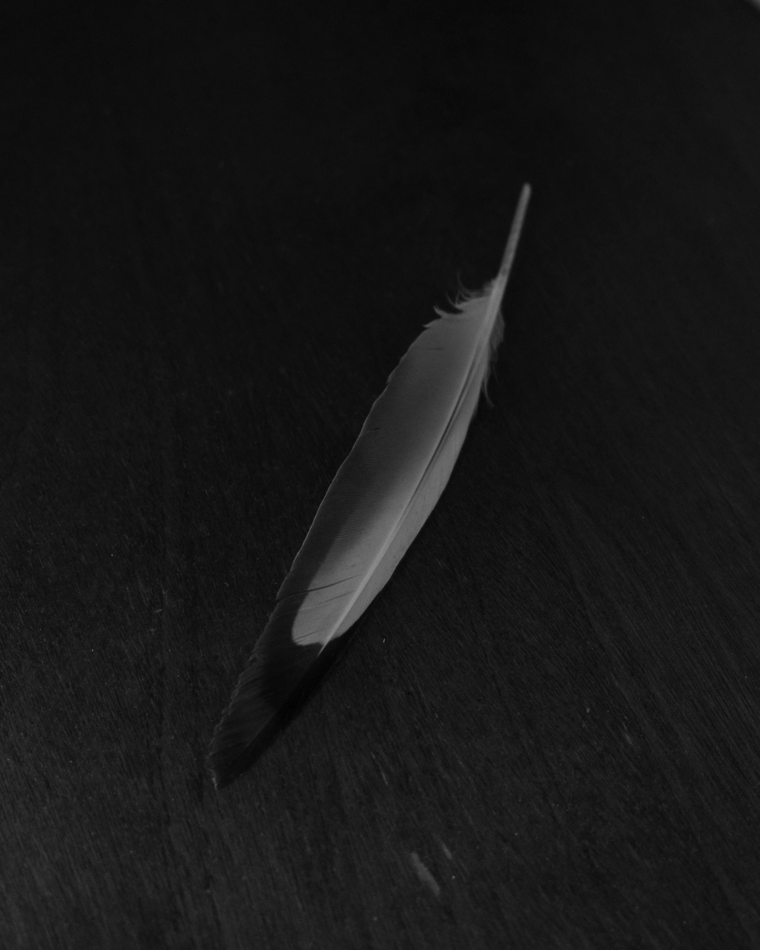DSCF2423.jpg