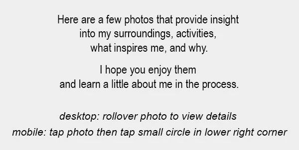 MS WEBSITE PHOTOS INSTRUCTIONS copy.jpg