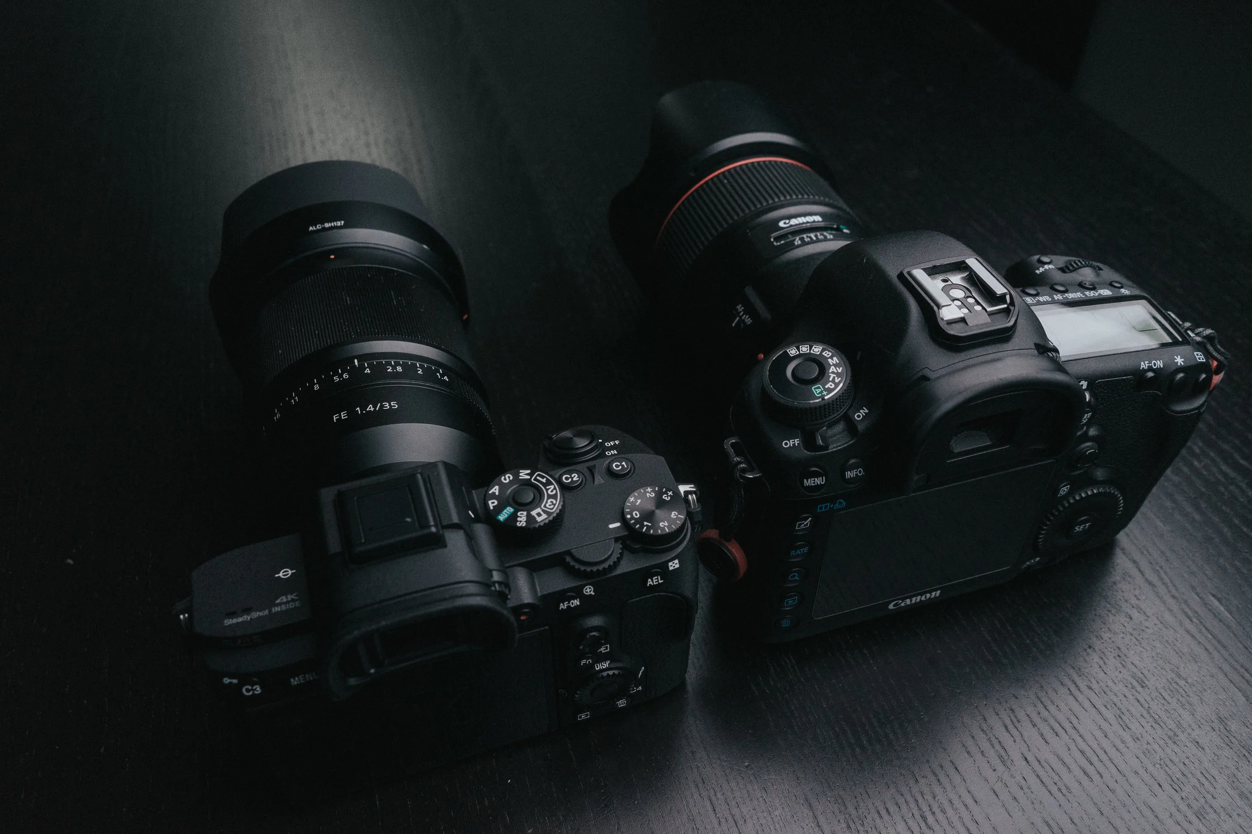 side-by-side-9.jpg
