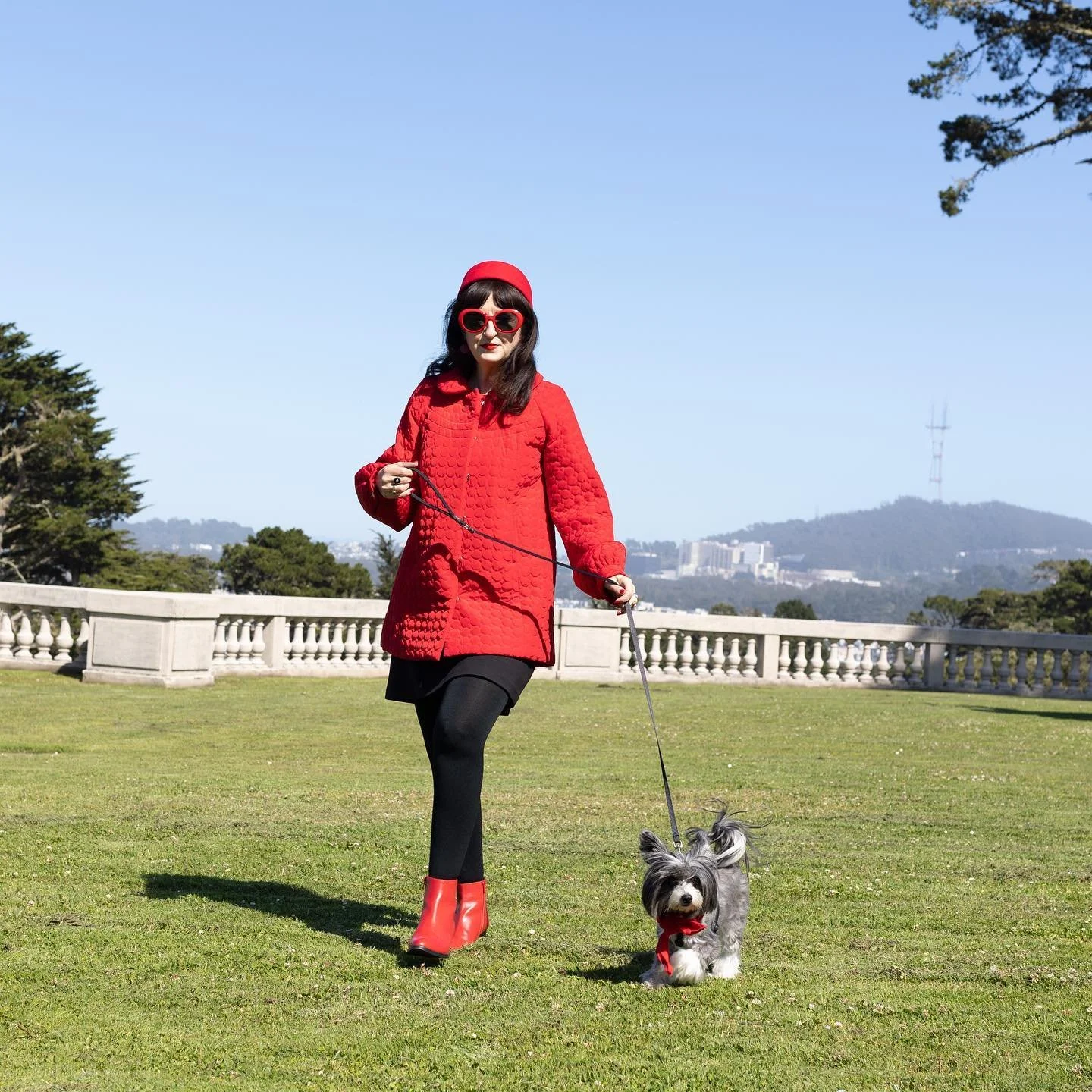 ❤️
BB and I photographed by Kristin Cofer #kristincoferphotography 

#bbthechinesecrested #doggymodel #dogmodel #chinesecrested #chinesecrestedpowderpuff