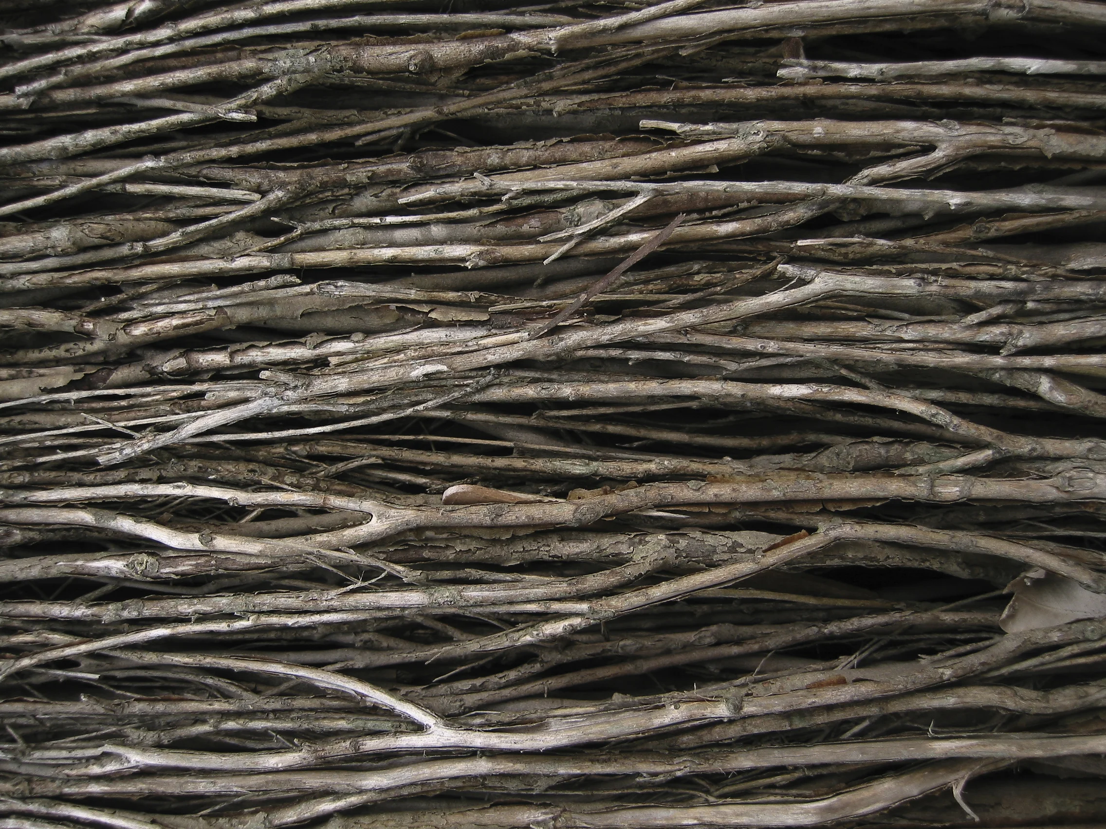 Ønskekvistmodellen – et sammendrag