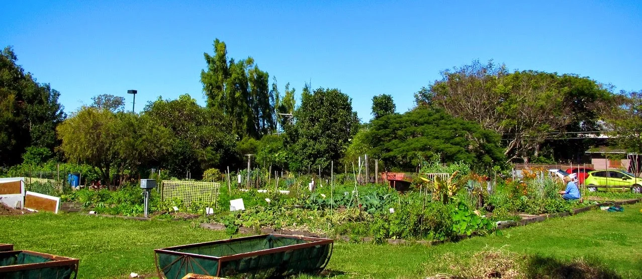Community Garden.jpg