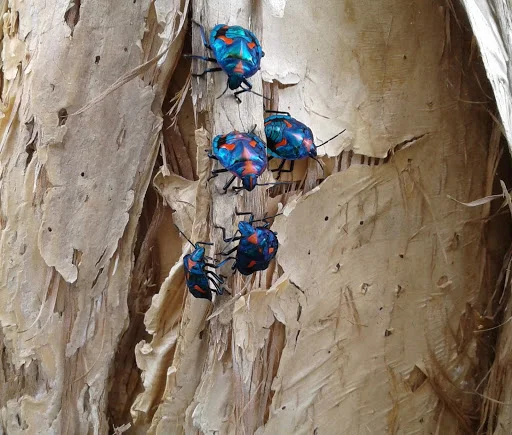 Bugs'n'Kids