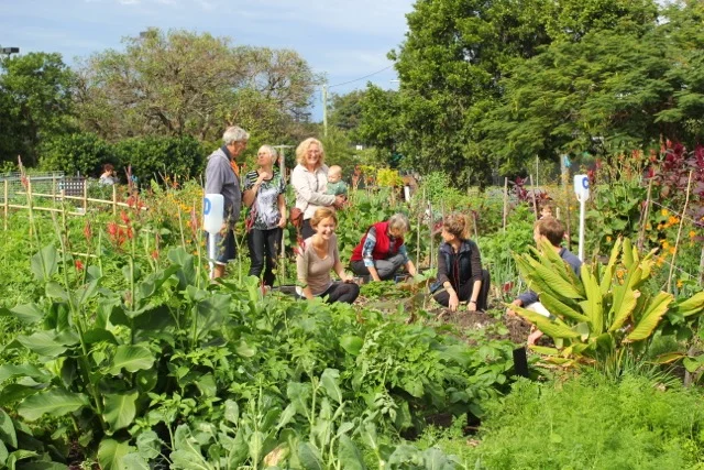 Sunday in the Garden