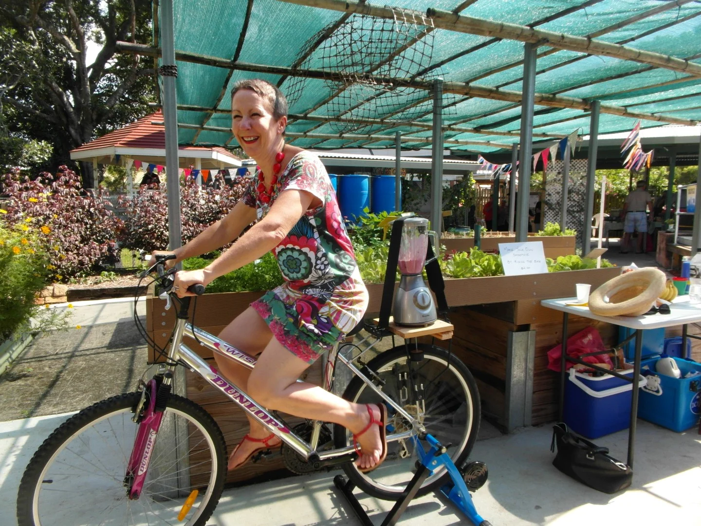 SAM_0971 (Large).JPG