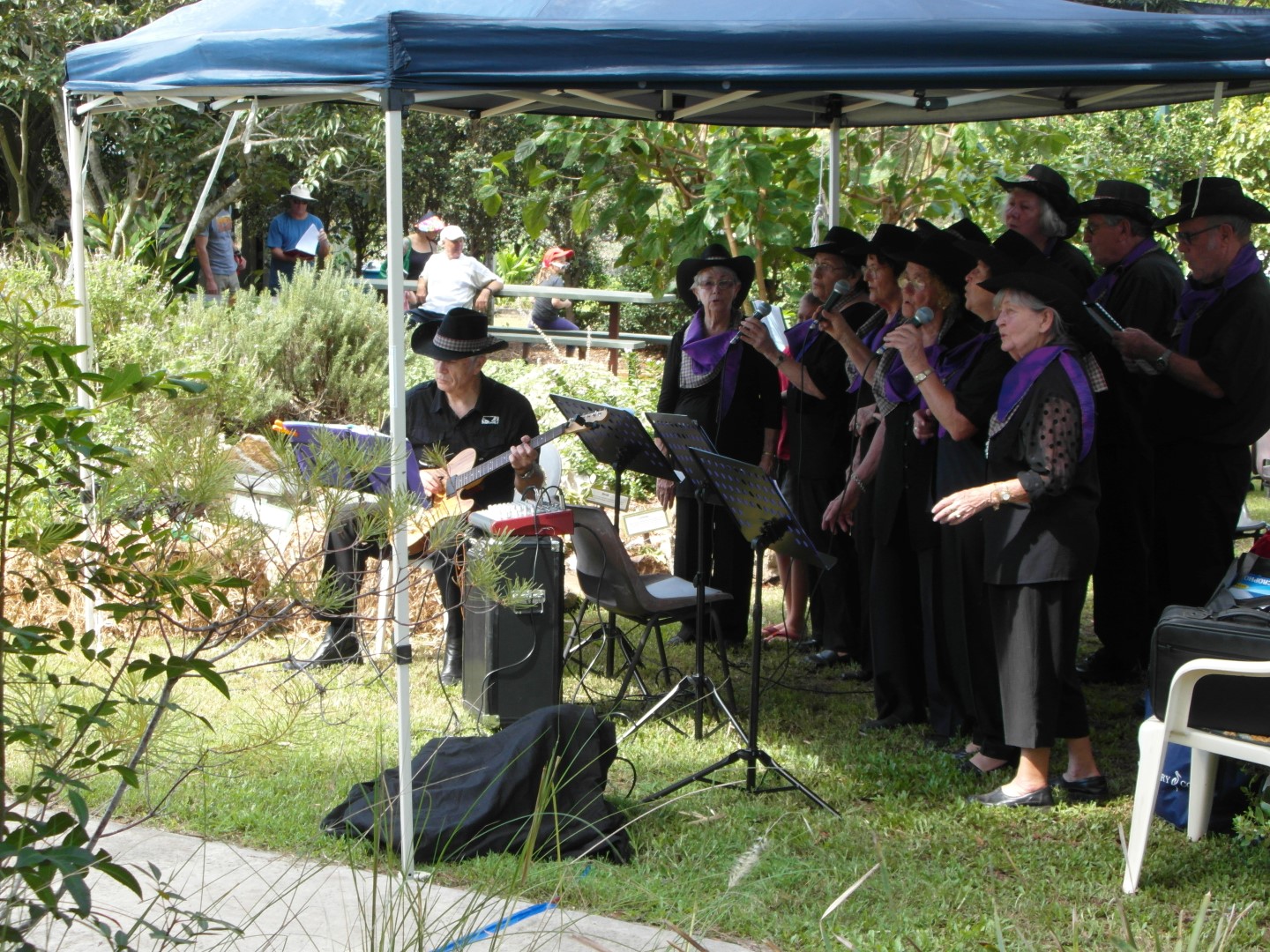 SAM_0991 (Large).JPG