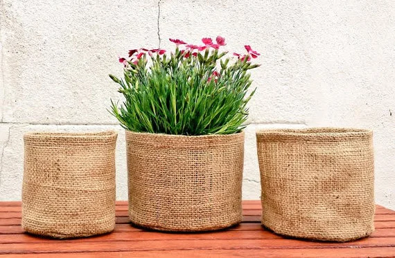 Planter Pot