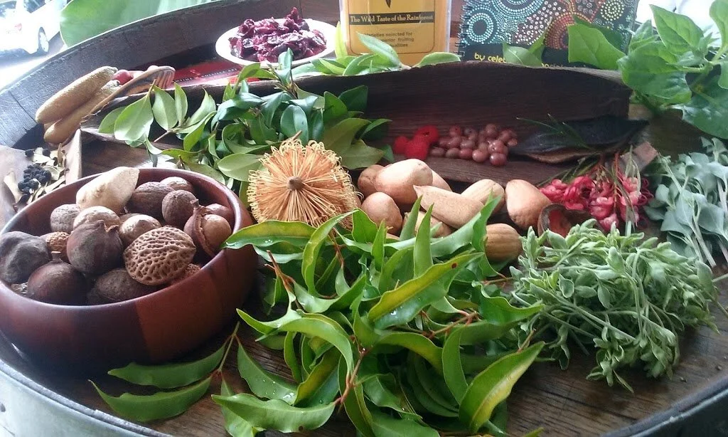 Bushfood Workshop