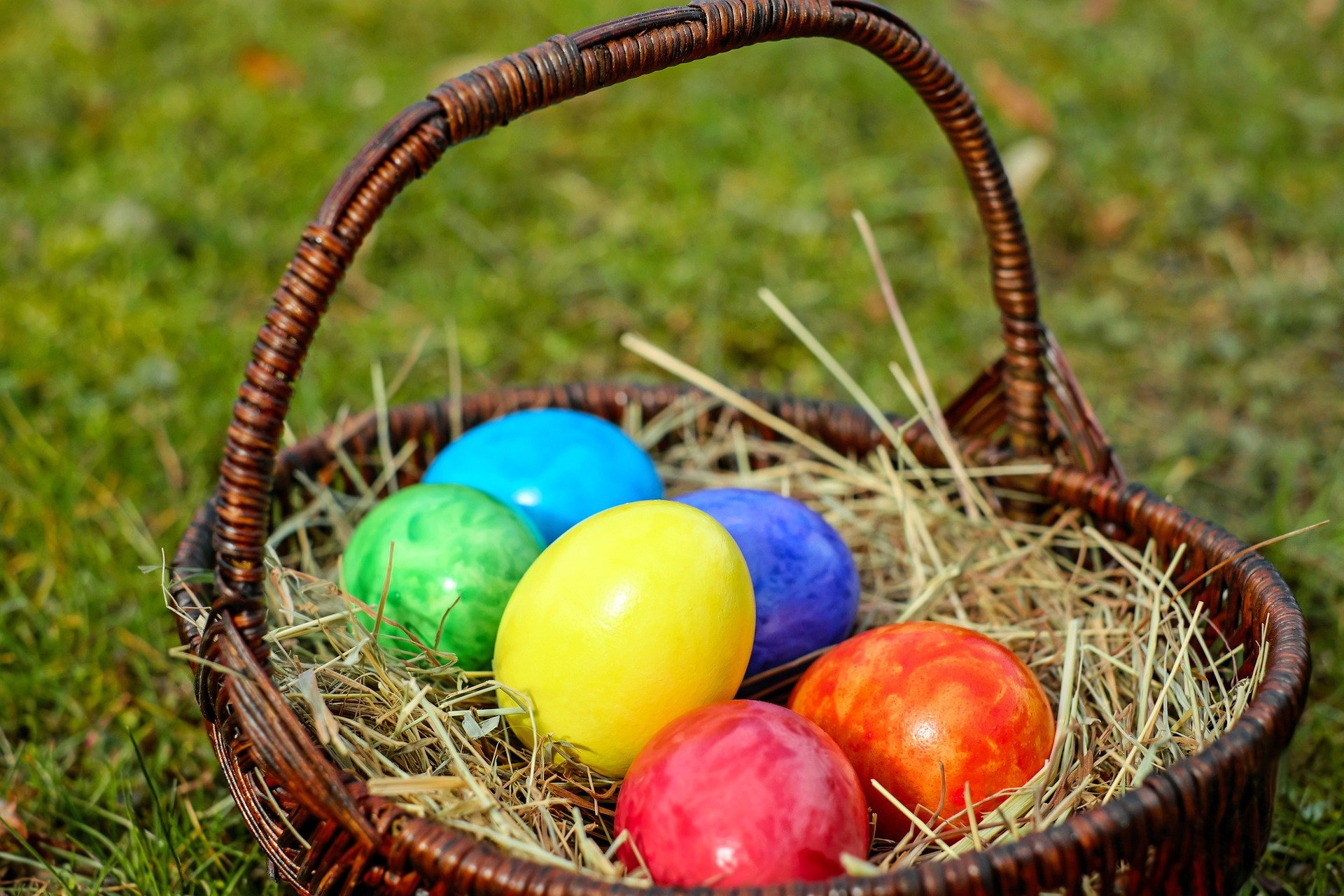 Beelarong Great Easter Egg Hunt