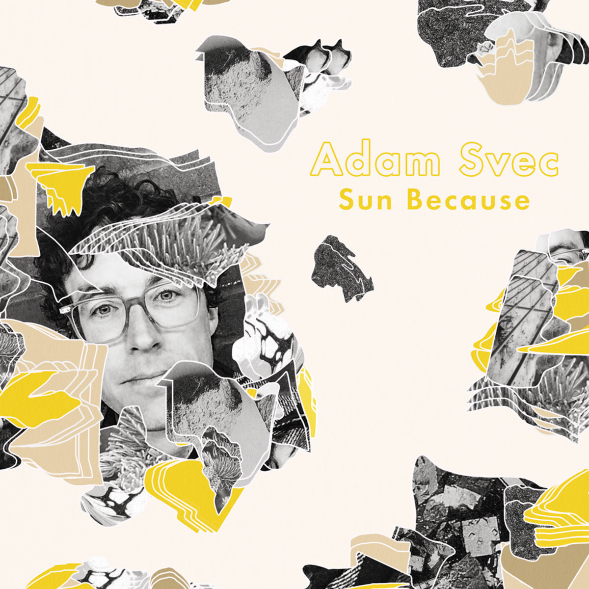 Adam Svec - Sun Because.jpg