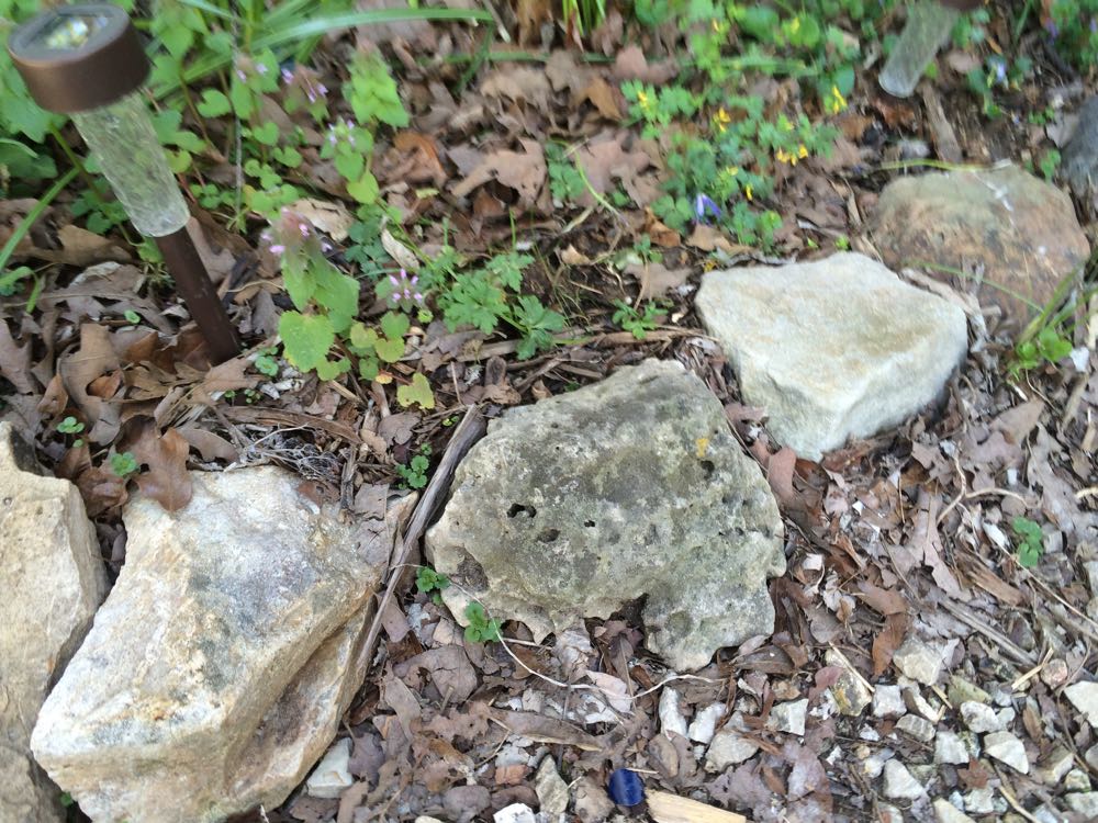 These rocks have been a flower border for a couple of years holding in soil, mulch and moisture.