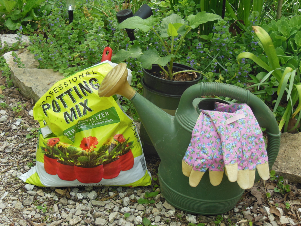 Trying to scrimp on good soil is one of the most common, and deadly, gardening mistakes. Start with good soil, it will make all of the difference!