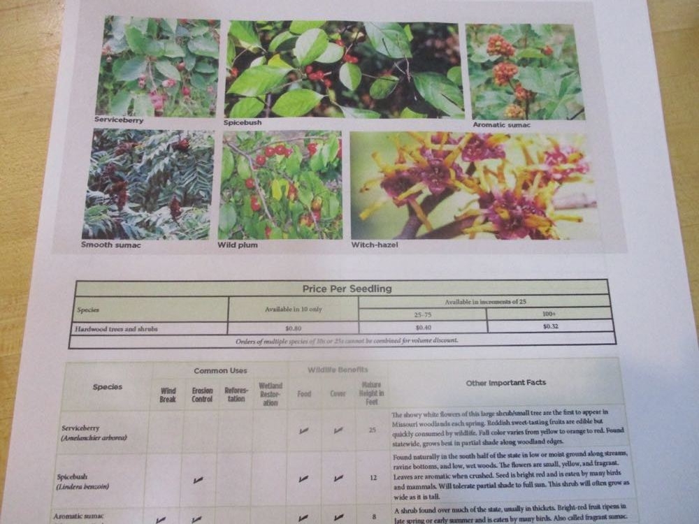 The George O. White Nursery catalog is a great free reference for how to plant the seedlings including an easy chart of various land uses. (Photos by Charlotte Ekker Wiggins)