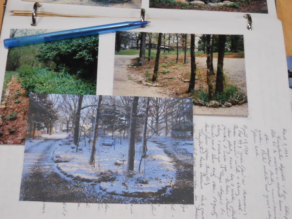 Keep track of the changes in your garden by taking photos from the same spots, especially if you have made major changes. Gardens change all on their own, too. (Photos by Charlotte Ekker Wiggins)