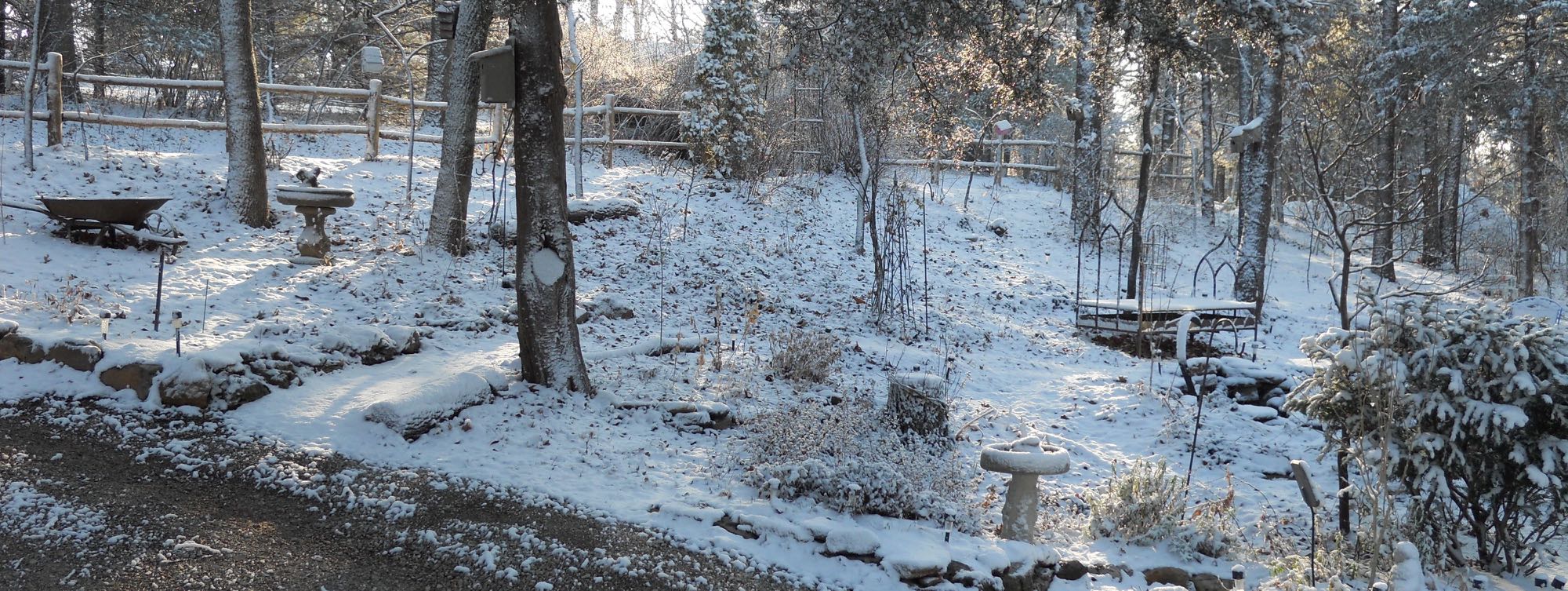 The front of my garden covered in snow. When the sun shines, the garden is magical!