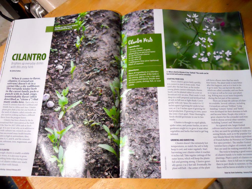 There are a variety of herb uses including cooking with them, this article has tips and a recipe.