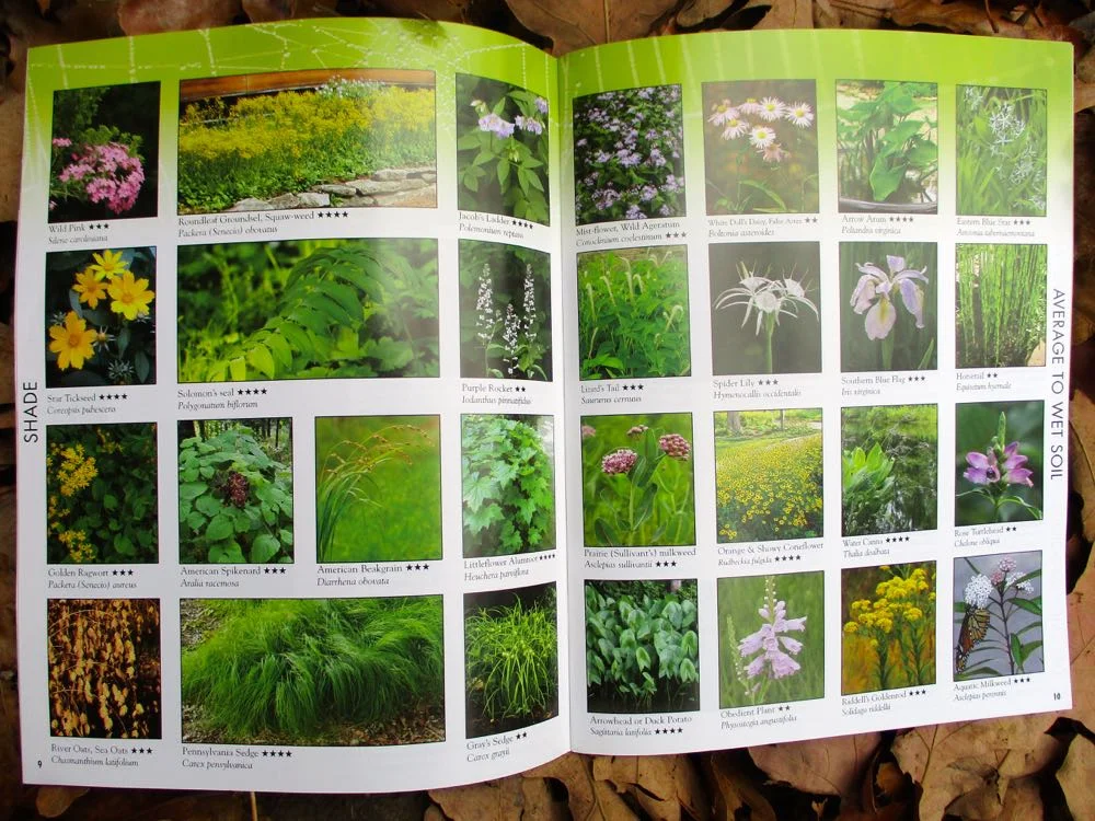 Winter Gardening Charlotte Winter Gardening Charlotte