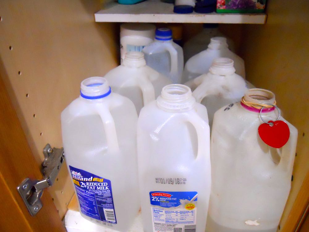 Use old milk bottles to hold tap water for a day or two so added chemicals can dissipate.
