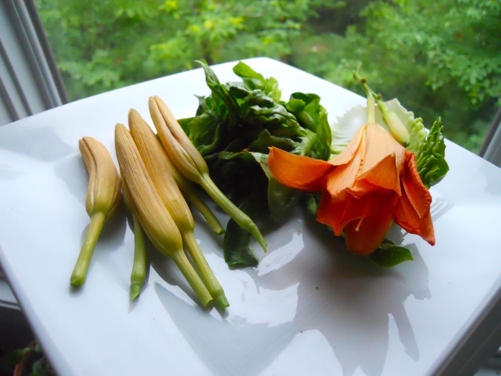 Daylily buds, left, and the open flowers are delicious additions to salads. (Photo by Charlotte Ekker Wiggins)