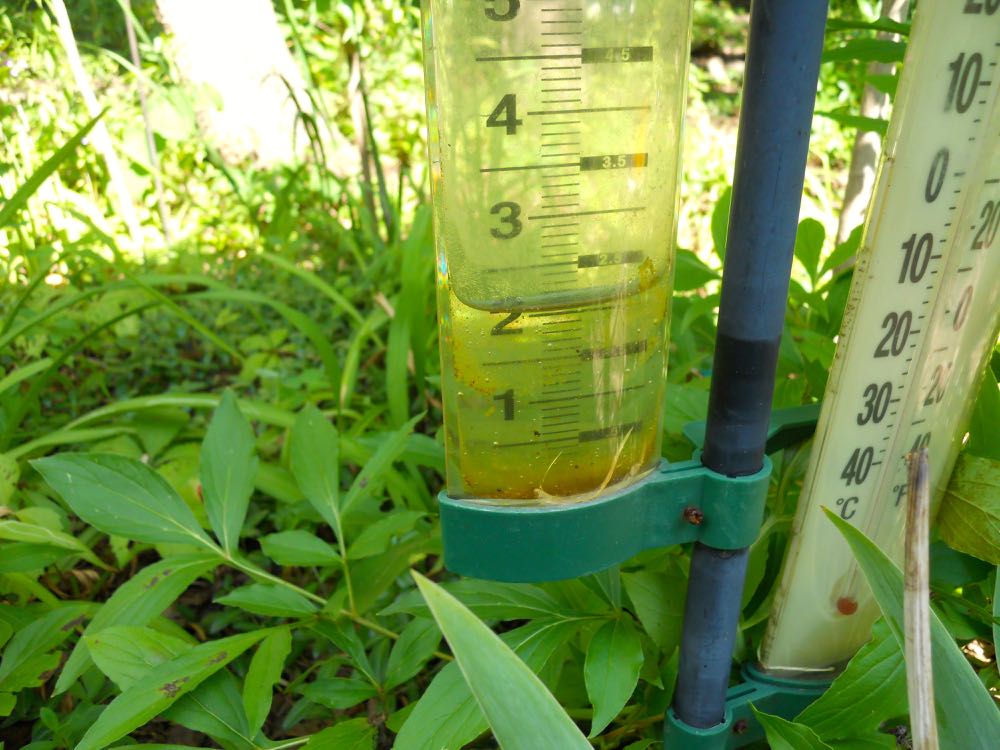 It's helpful to have a rain gauge to make sure your garden is getting at least 1" of water a week. (Photo by Charlotte Ekker Wiggins)