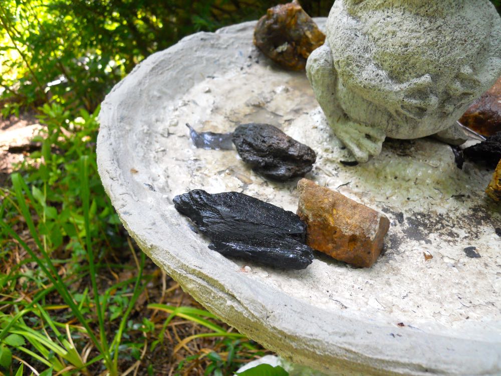 Ready made concrete applied to old bird bath edges can easily restore an old bird bath to use. (Photo by Charlotte Ekker Wiggins)