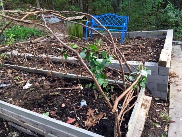 This is the other short side of the cedar fence. (Photo by Charlotte Ekker Wiggins)