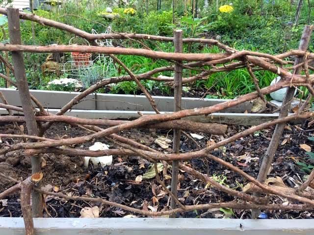 Cedar branches are woven inside the fence border. (Photo by Charlotte Ekker Wiggins)