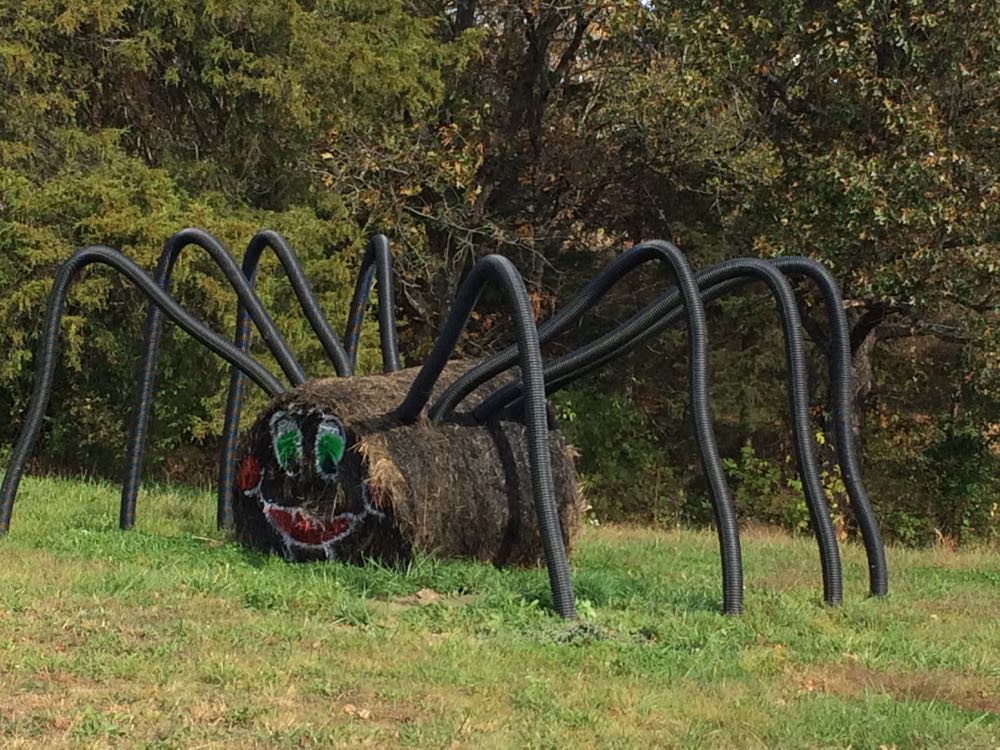 This hay spider is ready to welcome Halloween. (Photo by Charlotte Ekker Wiggins)