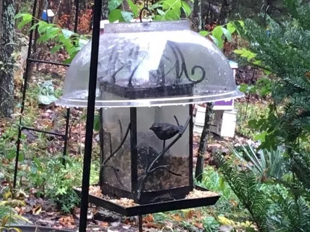 One of the plastic bowls now keeping bird seed dry. (Photo by Charlotte Ekker Wiggins)