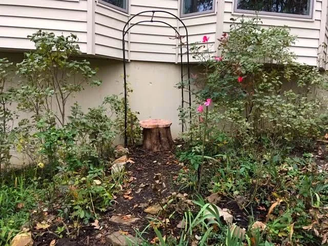 Cedar stump seat under my whimsical arch to nowhere. (Photo by Charlotte Ekker Wiggins)