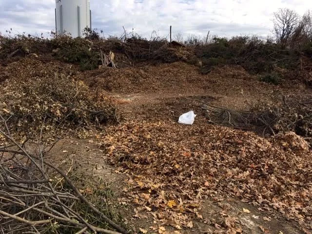 My favorite pile, shredded leaves and clippings. (Photo by Charlotte Ekker Wiggins)