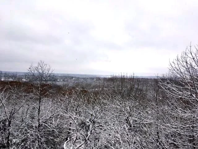 The view off the west side of my house. (Photo by Charlotte Ekker Wiggins)