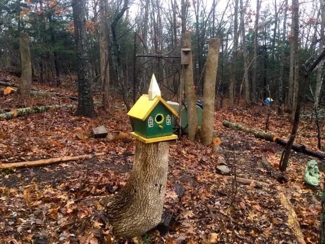 This church birdhouse sits on top of a cut down ash tree trunk stub. (Photo by Charlotte Ekker Wiggins)