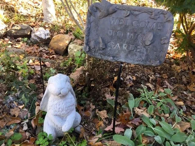 Winter is a good time to find gardening items on sale. (Photo by Charlotte Ekker Wiggins)